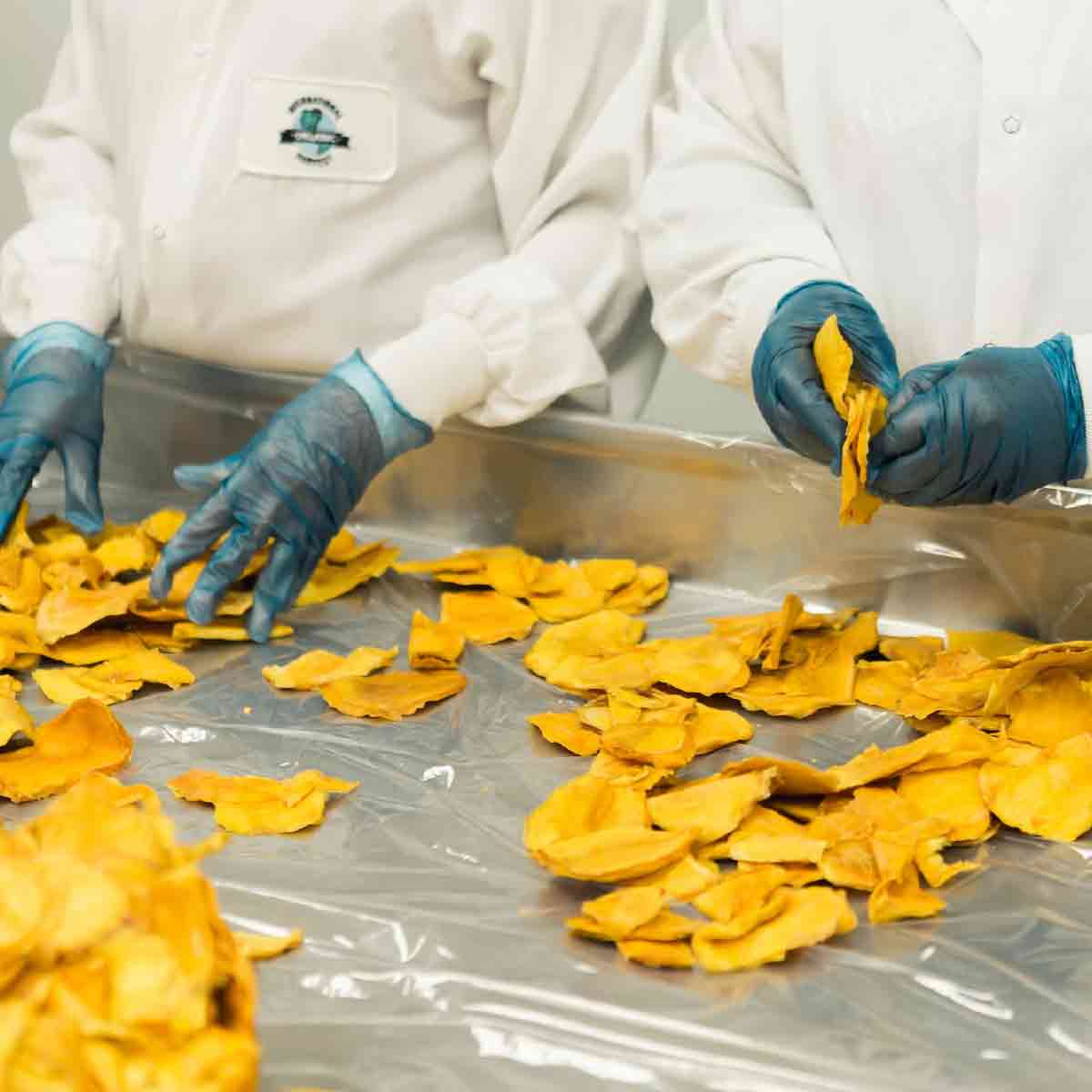 Food Manufacturing Employees Working