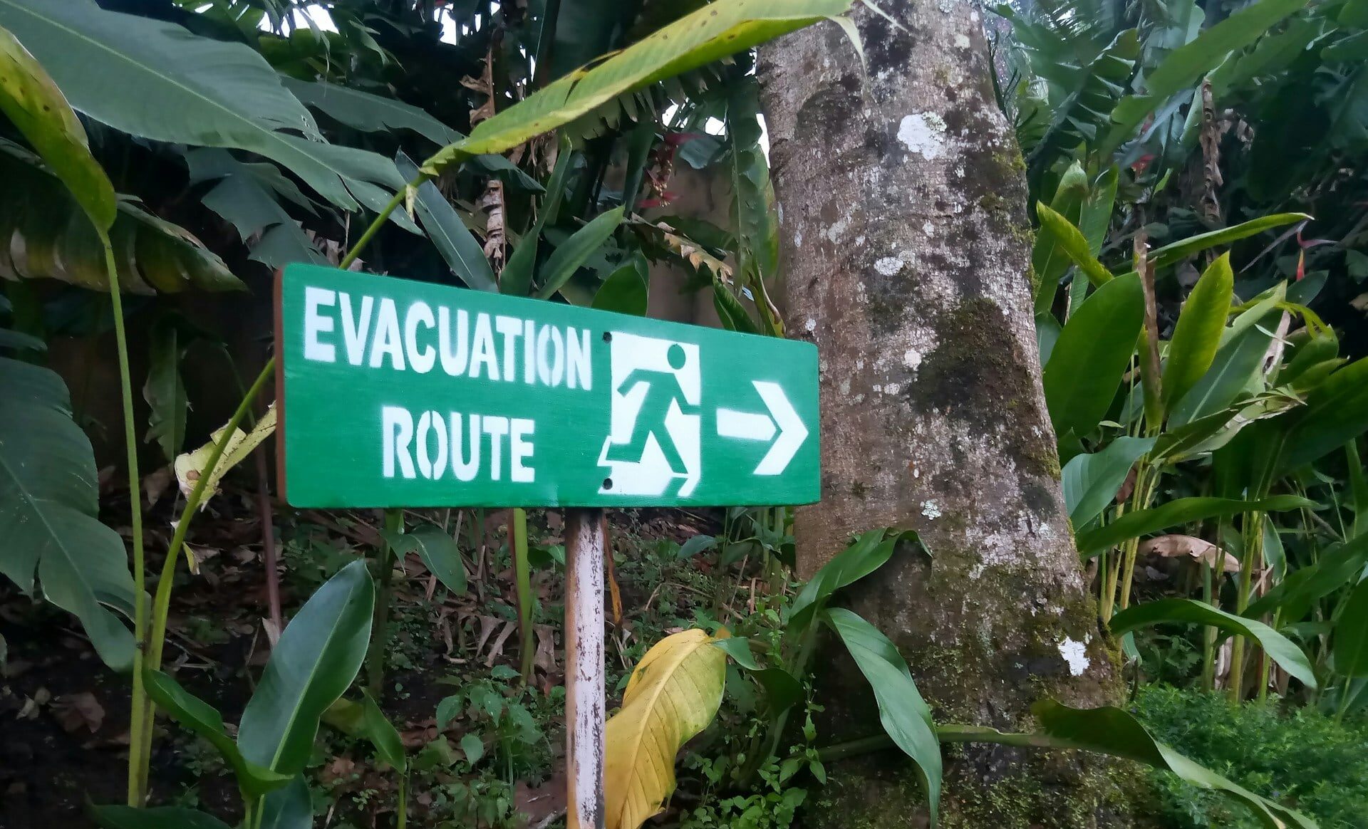 How A Evacuation Management System Can Save Lives During A Crisis