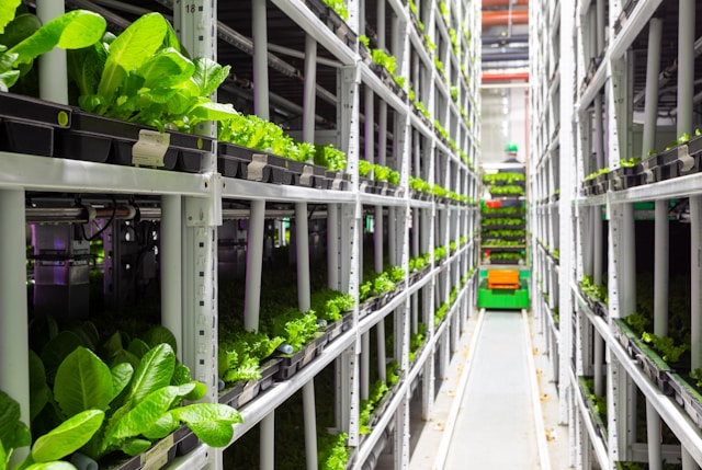 Food Manufacturing Vms